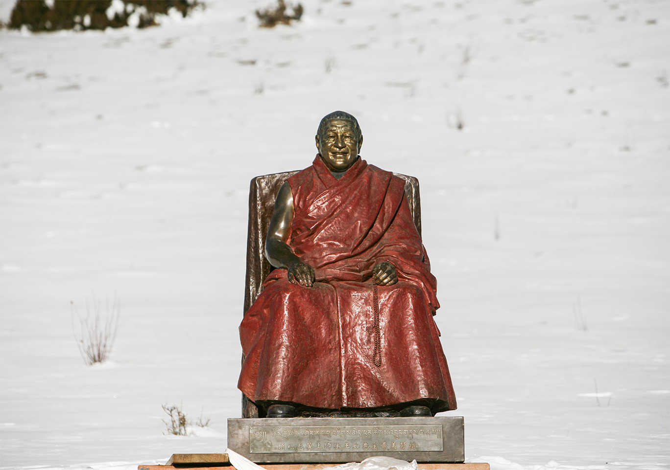 上师,请您永远做我头顶上的宝饰